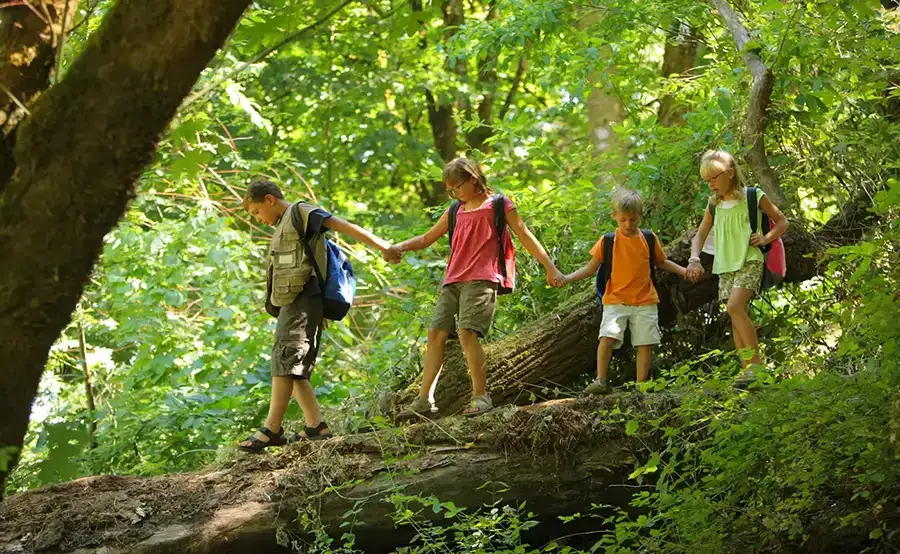 A family hiking holding hands walking on a fallen tree trunk.