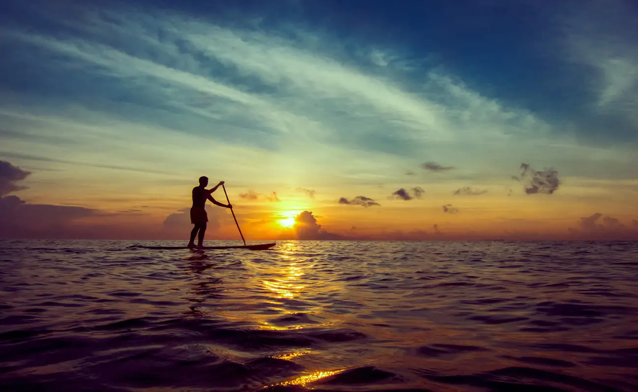 Paddle boarding on in the sea during a evening sunset