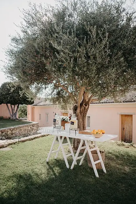 Liquid refreshments on table in the garden underneath a olive tree